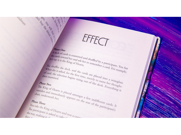 Principles of Destruction by Ben Seidman - Book