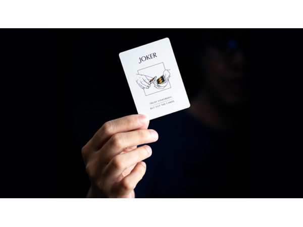 Sleights Playing Cards by EmilySleights52