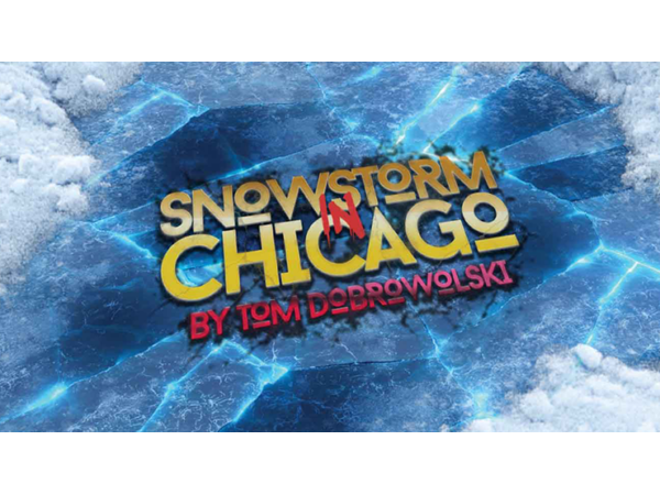 Bigblindmedia Presents Snowstorm In Chicago (Blue) by Tom Dobrowolski