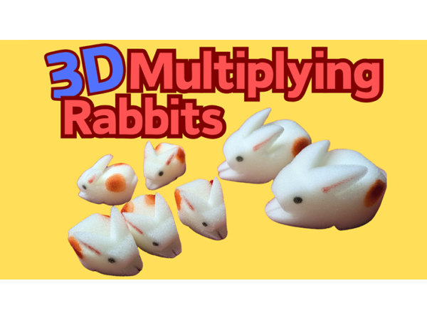 3D Multiplying Rabbits (7 Pc Mom and Pop with 5β¦ | Magicshop AG