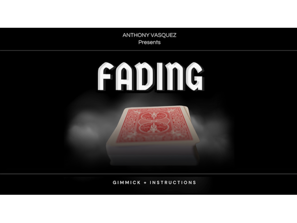 Fading (Red) by Anthony Vasquez