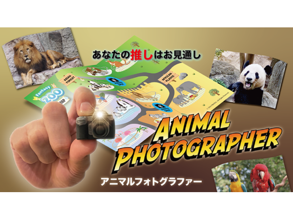 Animal photographer