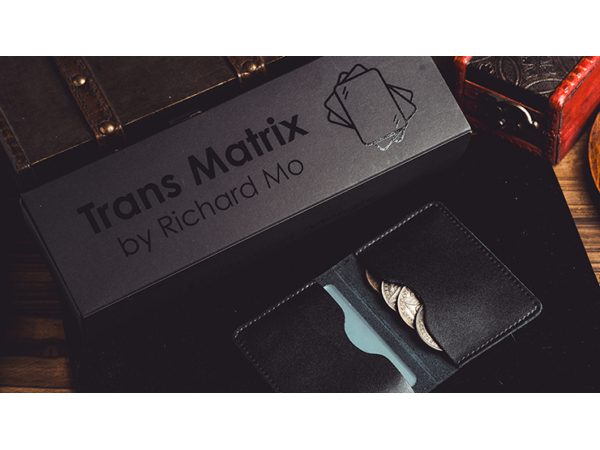 Transparent Matrix (Half Dollar) 2024 by Richard Mo