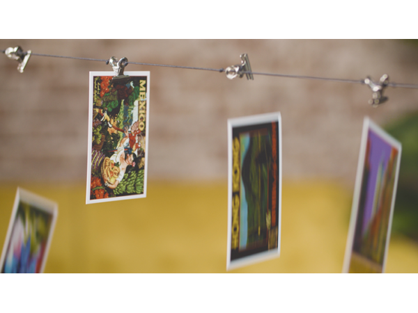 Gravity Clips by Greg Van Holsbeck