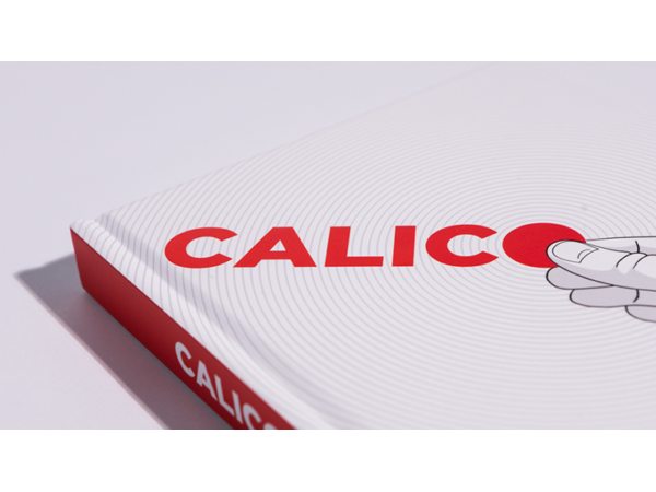 Calico by Rick Holcome  - Book