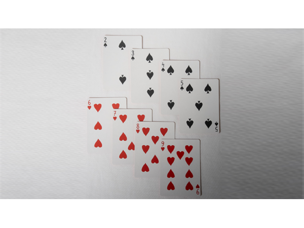 No Borders Edition 2 Dystopia Back Playing Cards by Joker and the Thief