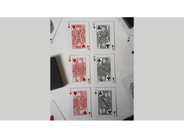 No Borders Edition 2 Dystopia Back Playing Cards by Joker and the Thief