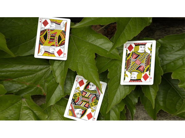 Mantis Playing Cards (Marked)