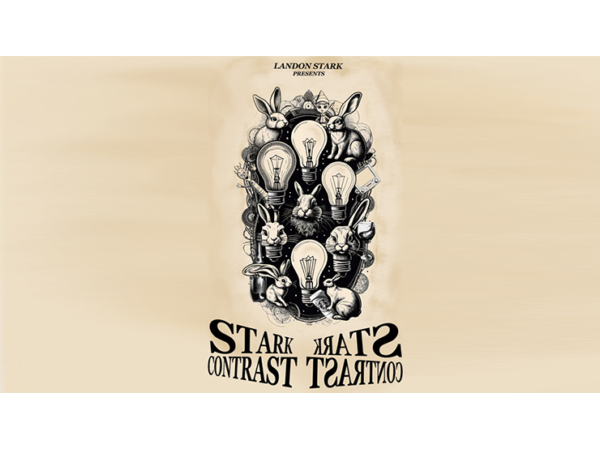 The Stark Contrast by Landon Stark eBook DOWNLOAD