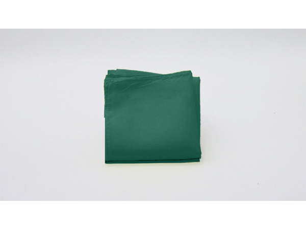 Silk 12 inch Single (Dark Green) Magic by Gosh