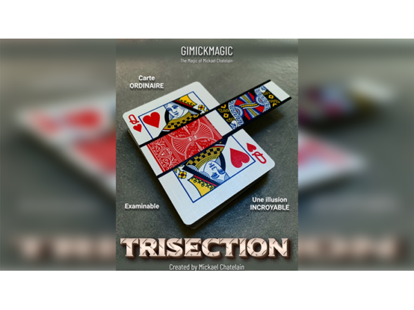 TRISECTION (Blue) Mickael Chatelain