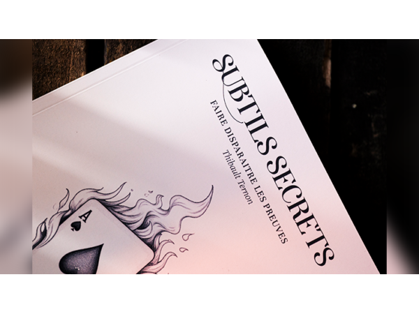 Subtle Secrets 1 by Thibault Ternon - Book
