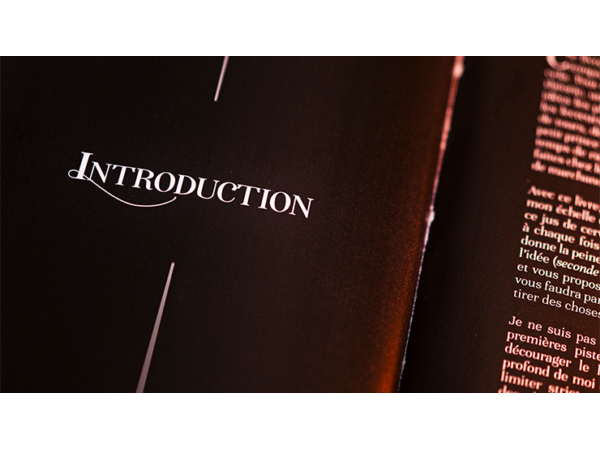 Subtle Secrets 1 by Thibault Ternon - Book