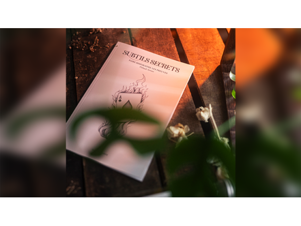 Subtle Secrets 1 by Thibault Ternon - Book