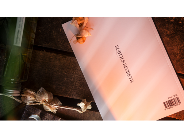 Subtle Secrets 1 by Thibault Ternon - Book