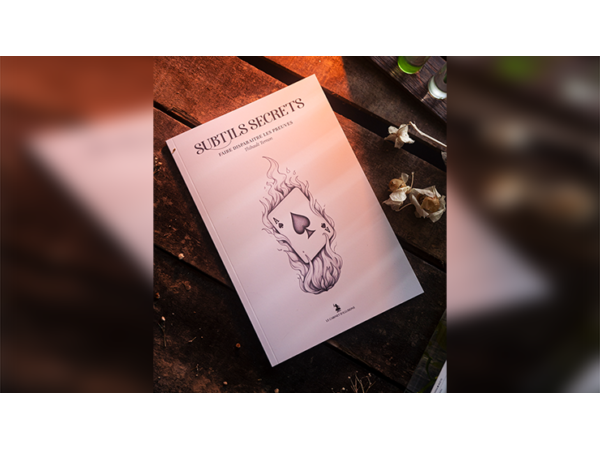 Subtle Secrets 1 by Thibault Ternon - Book