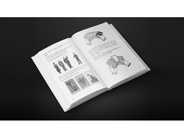 The Devil's Tarot by Vincent Hedan (Marseille) - Book