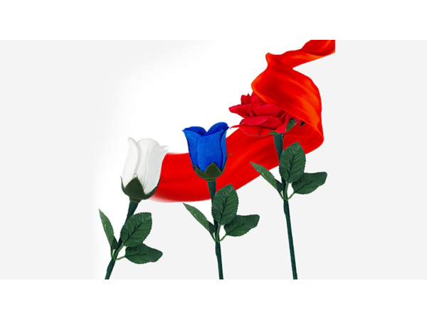 Reborn Rose by JL Magic
