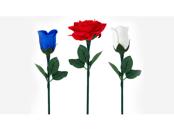 Reborn Rose by JL Magic