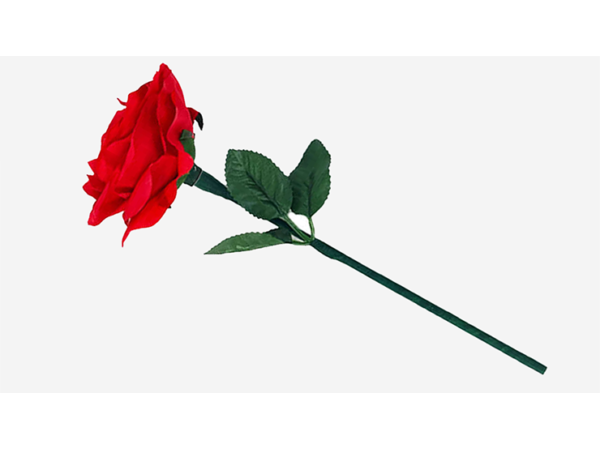 Reborn Rose by JL Magic