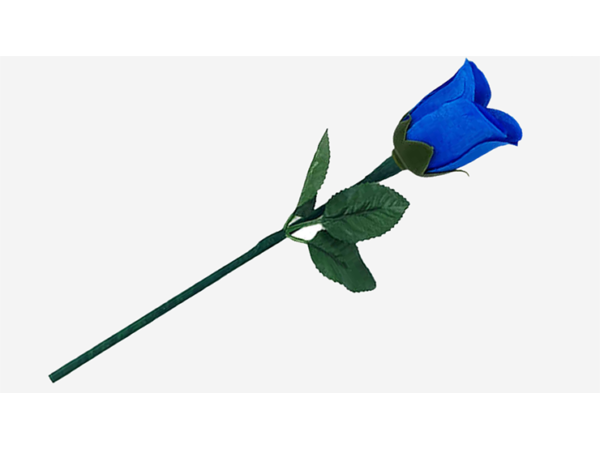 Reborn Rose by JL Magic
