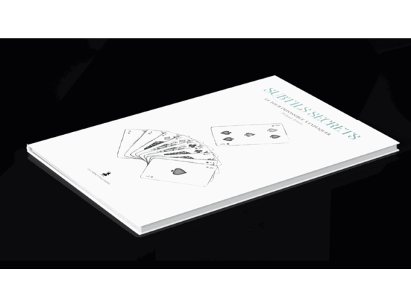 Subtle Secrets 2 by Thibault Ternon - Book
