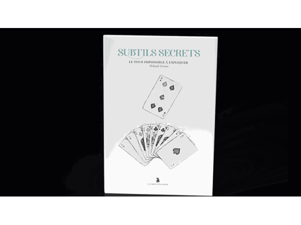 Subtle Secrets 2 by Thibault Ternon - Book
