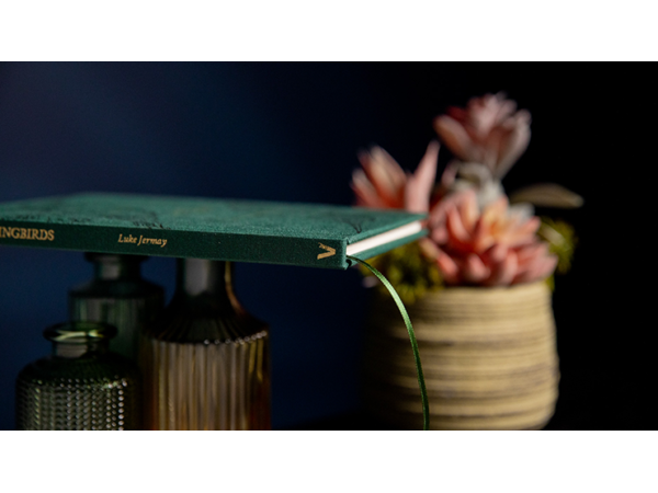 The Hummingbirds by Luke Jermay - Book