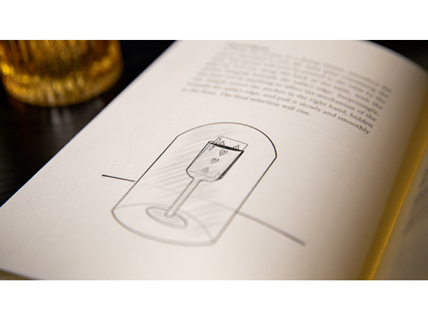 The Hummingbirds by Luke Jermay - Book