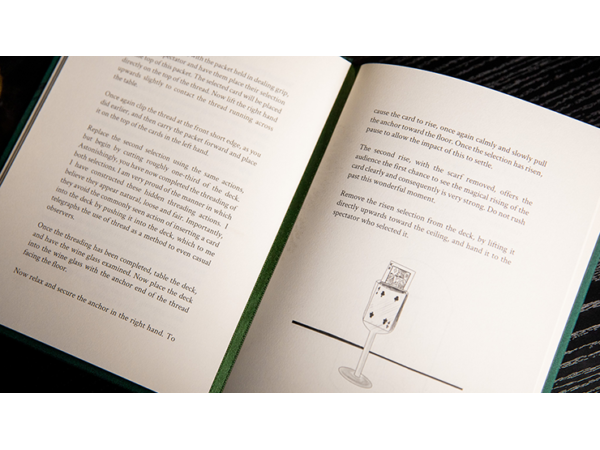 The Hummingbirds by Luke Jermay - Book
