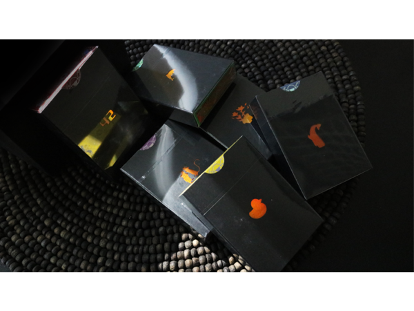 The Hitchhiker's Guide to The Galaxy- The Infinite Improbability Deck (Half Brick) playing cards