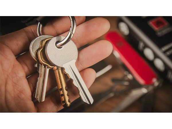 Swiss Key by Nicholas Lawrence and Hanson Chien