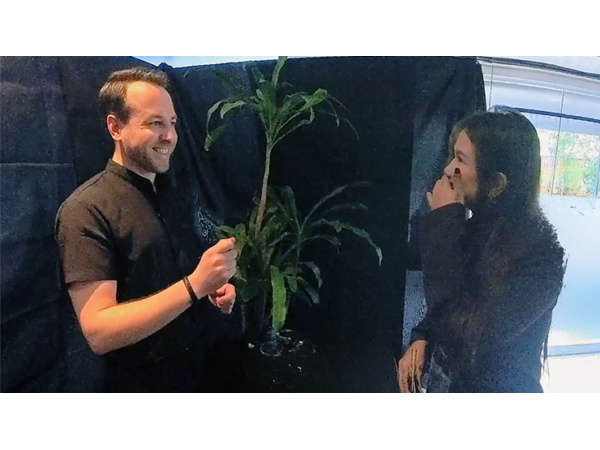 Echo Book Test by Vincent Hedan (Rider-Waite Tarot)