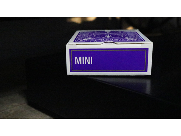 Mini Bicycle Cards (Purple)