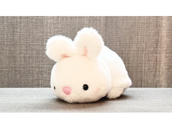 Morphing Plush (Rabbit to Elephant) by Jackie Zhao and JT Magic