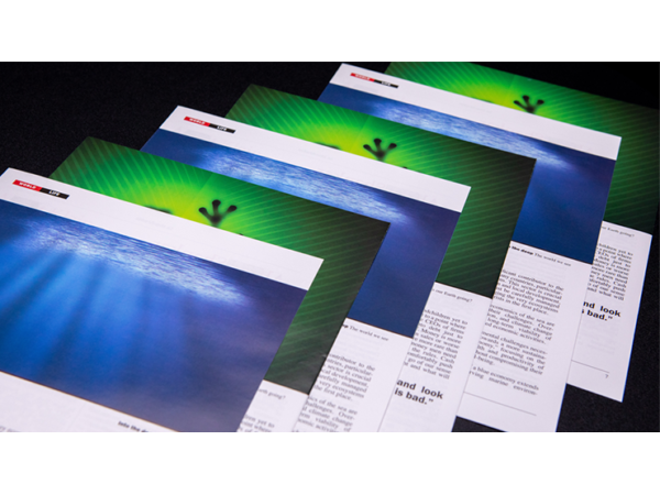 Don't Blink by Yvan Garmy