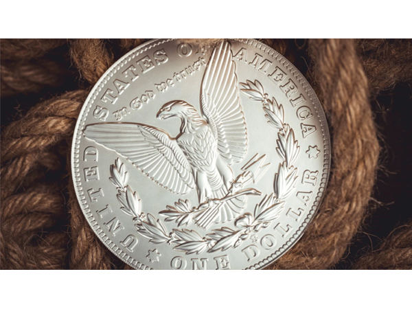 Bacon Jumbo Coin (Morgan) by Bacon Magic