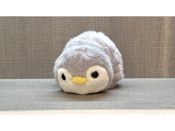 Morphing Plush (Panda to Penguin Grey) by Jackie Zhao and JT Magic