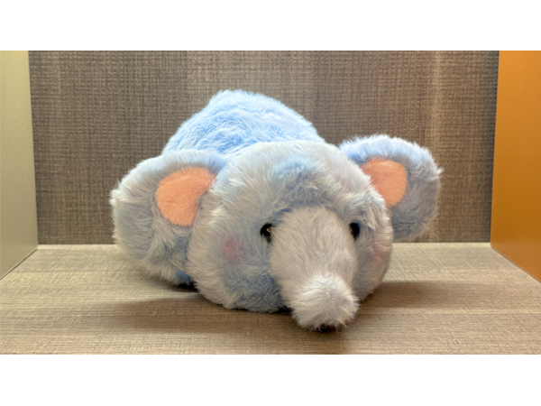 Morphing Plush (Elephant to Rabbit Large) by Jackie Zhao and JT Magic