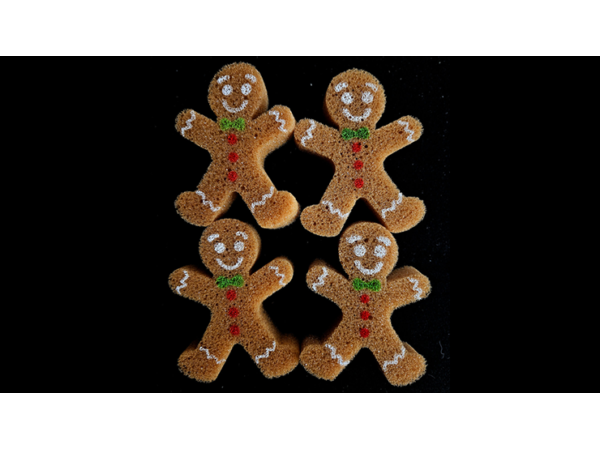 Super Sponge Gingerbread Men Cookies (4)
