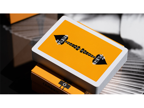 ACE FULTON'S CASINO V3 PLAYING CARDS
