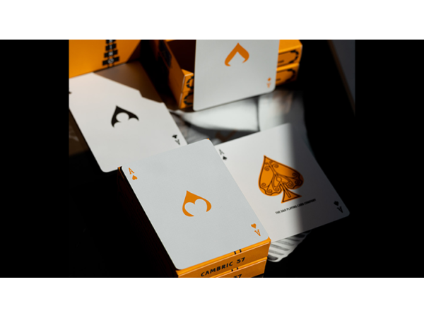 ACE FULTON'S CASINO V3 PLAYING CARDS