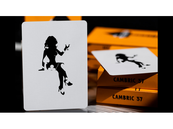 ACE FULTON'S CASINO V3 PLAYING CARDS