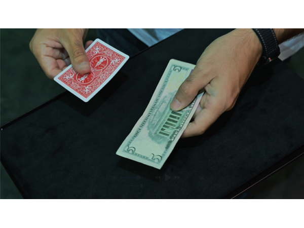 Divisa by Adrian Vega