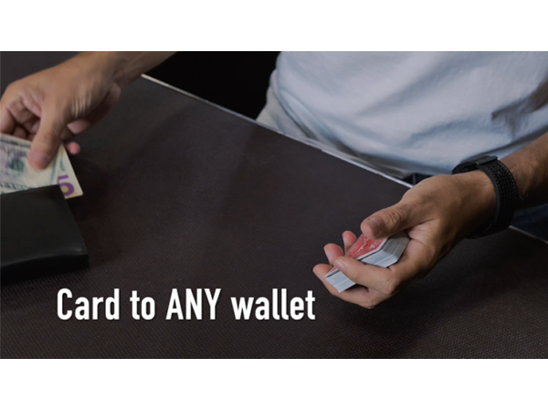 Divisa by Adrian Vega