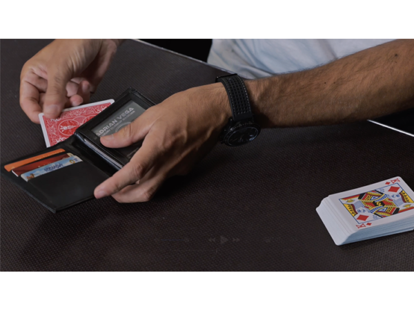 Divisa by Adrian Vega