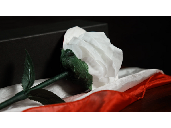 Fantasy Rose by Leon, Bond Lee & MS Magic