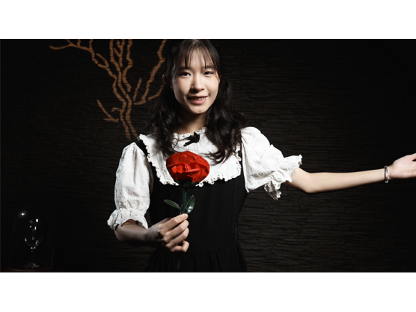 Fantasy Rose by Leon, Bond Lee & MS Magic