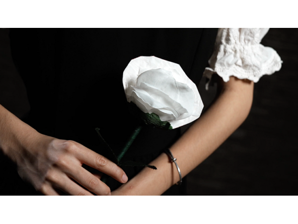 Fantasy Rose by Leon, Bond Lee & MS Magic