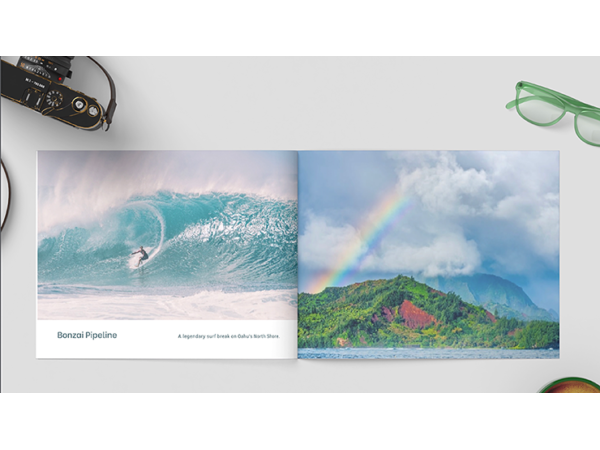 Zandman's Hawaii